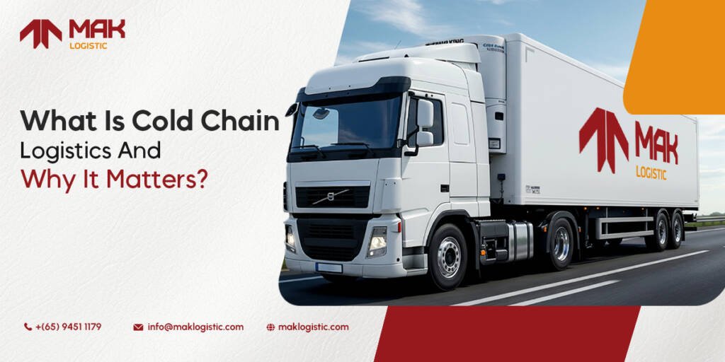 What Is Cold Chain Logistics And Why It Matters?