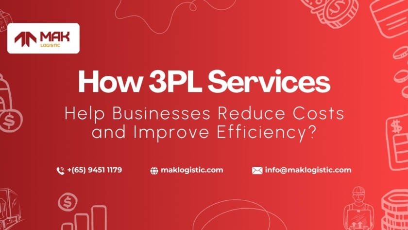 How 3PL Services Help Businesses Reduce Costs and Improve Efficiency?