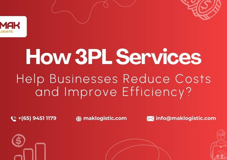 How 3PL Services Help Businesses Reduce Costs and Improve Efficiency?