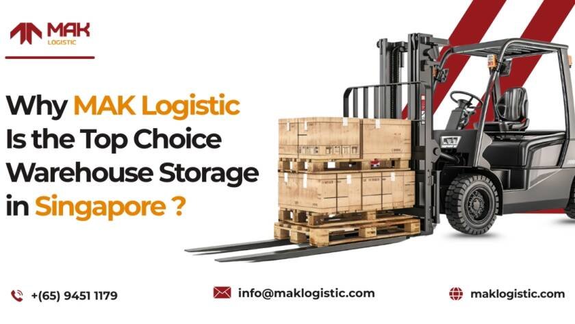 Why MAK Logistic Is the Top Choice Warehouse Storage in Singapore