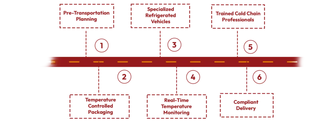step by step process for cold chain transportation