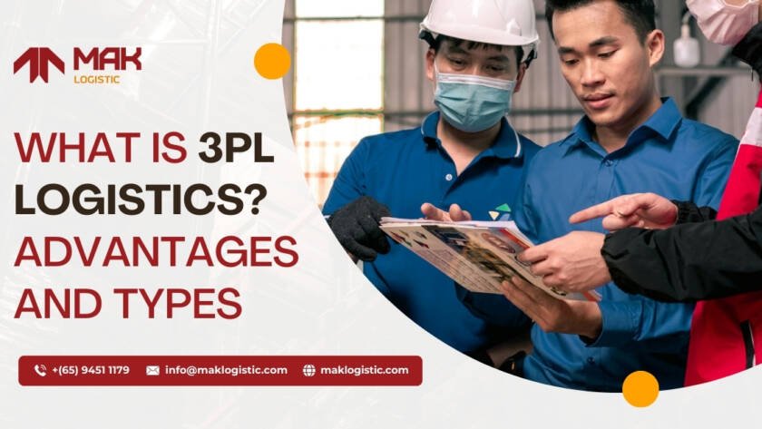 What is 3PL Logistics? Advantages, Types, and How It Works?