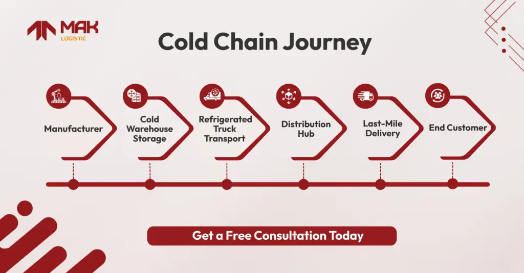 cold chain logistic journey in Singapore