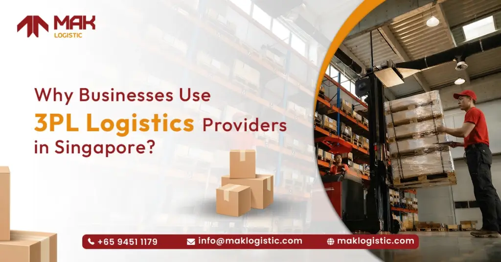 Why Businesses Use 3PL Logistics Providers in Singapore ?
