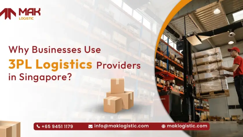 3Pl logistic partner in Singapore