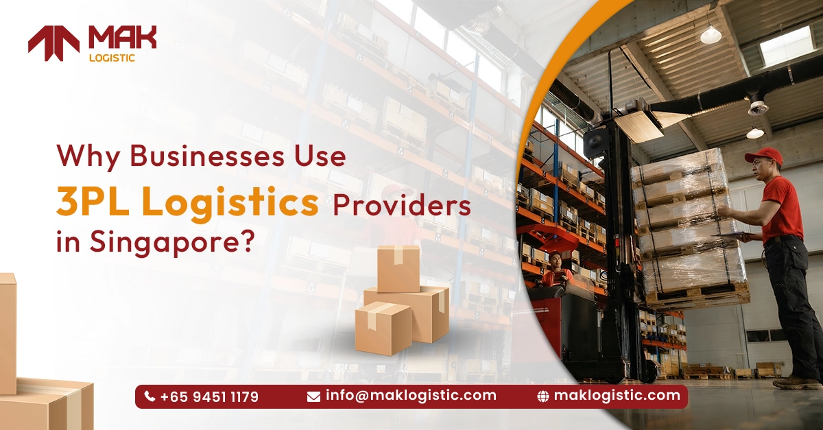 3Pl logistic partner in Singapore