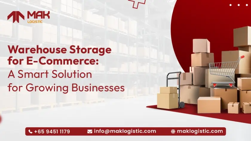 warehouse storage for ecommerce in Singapore