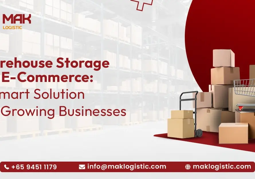 warehouse storage for ecommerce in Singapore