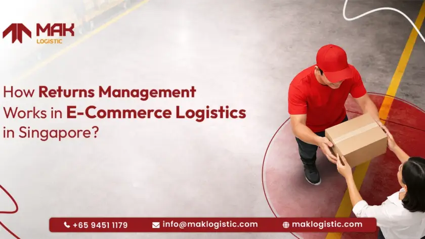 Returns logistic in Singapore