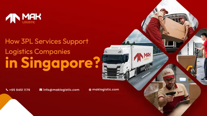 how 3pl services support logistics companies in singapore