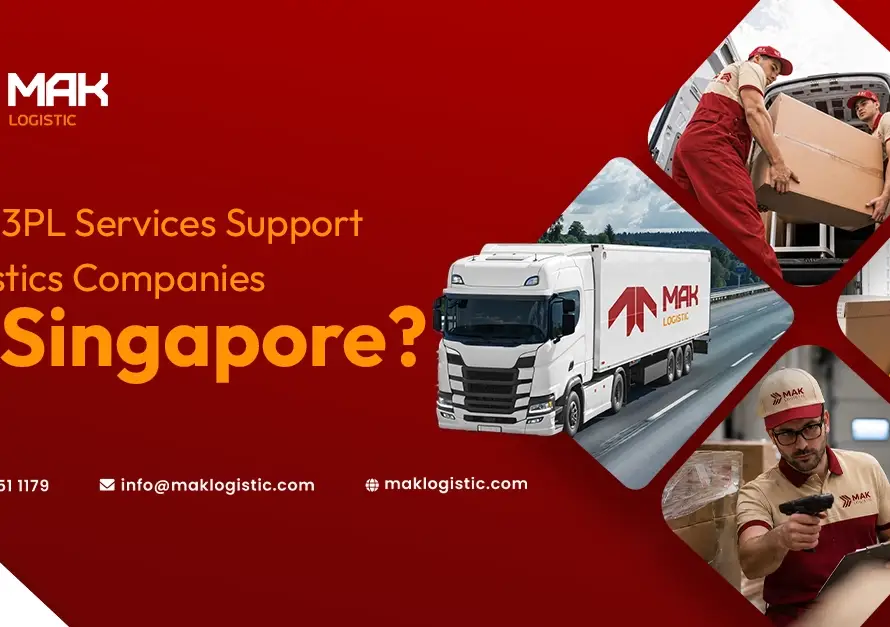 how 3pl services support logistics companies in singapore