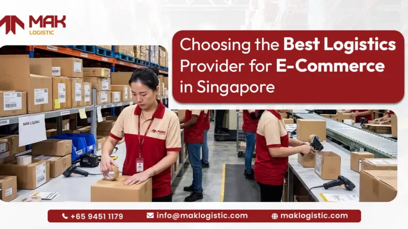 logistics support for ecommerce business in Singapore