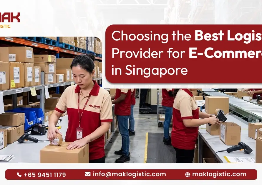 logistics support for ecommerce business in Singapore