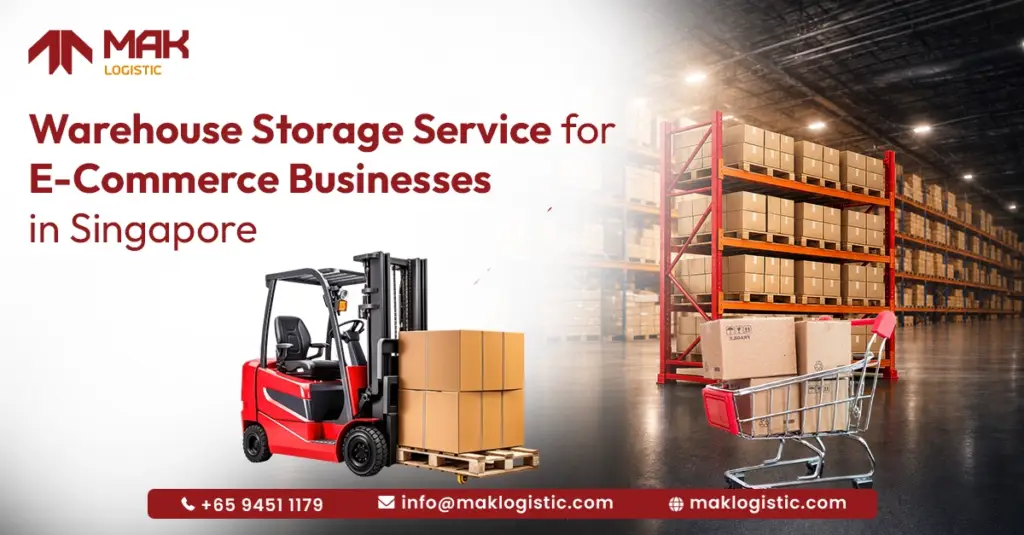 Warehouse Storage Service for E-Commerce Businesses in Singapore