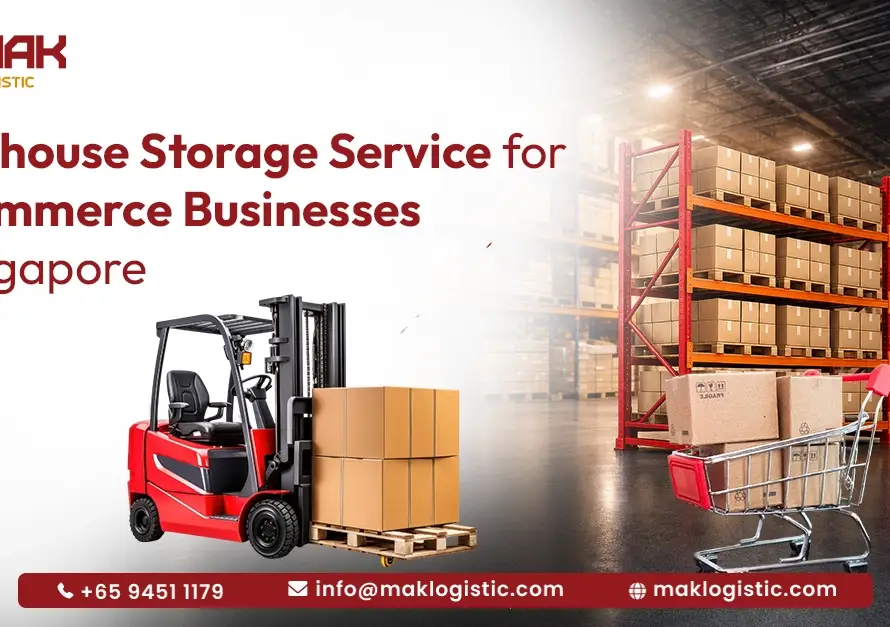 warehouse storage for ecommerce business Singapore