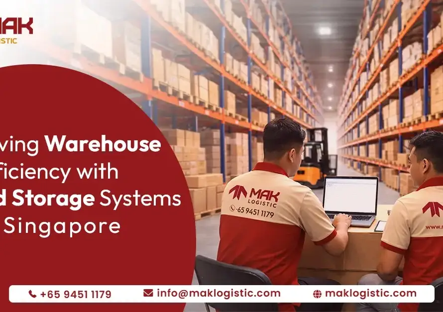 racked storage system in Singapore