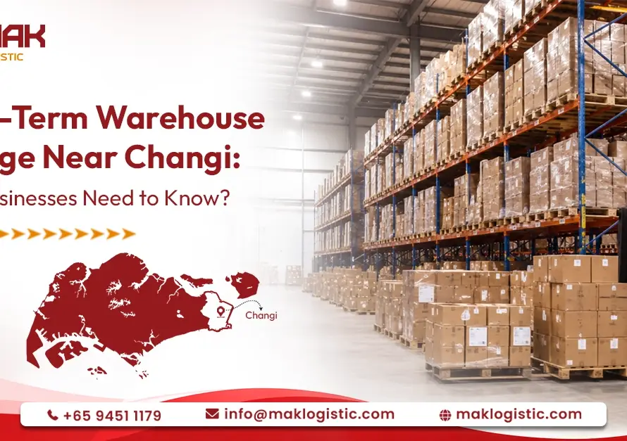 Short-Term Warehouse Storage Near Changi: What Businesses Need to Know?