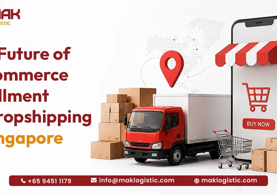 The Future of E-Commerce Fulfillment vs Dropshipping in Singapore 