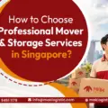 How to Choose Professional Mover & Storage Services in Singapore?  