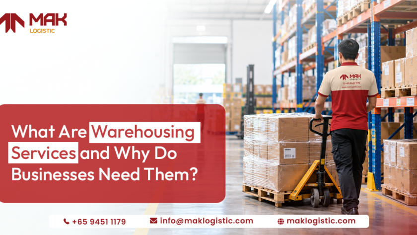 What Are Warehousing Services and Why Do Businesses Need Them? 